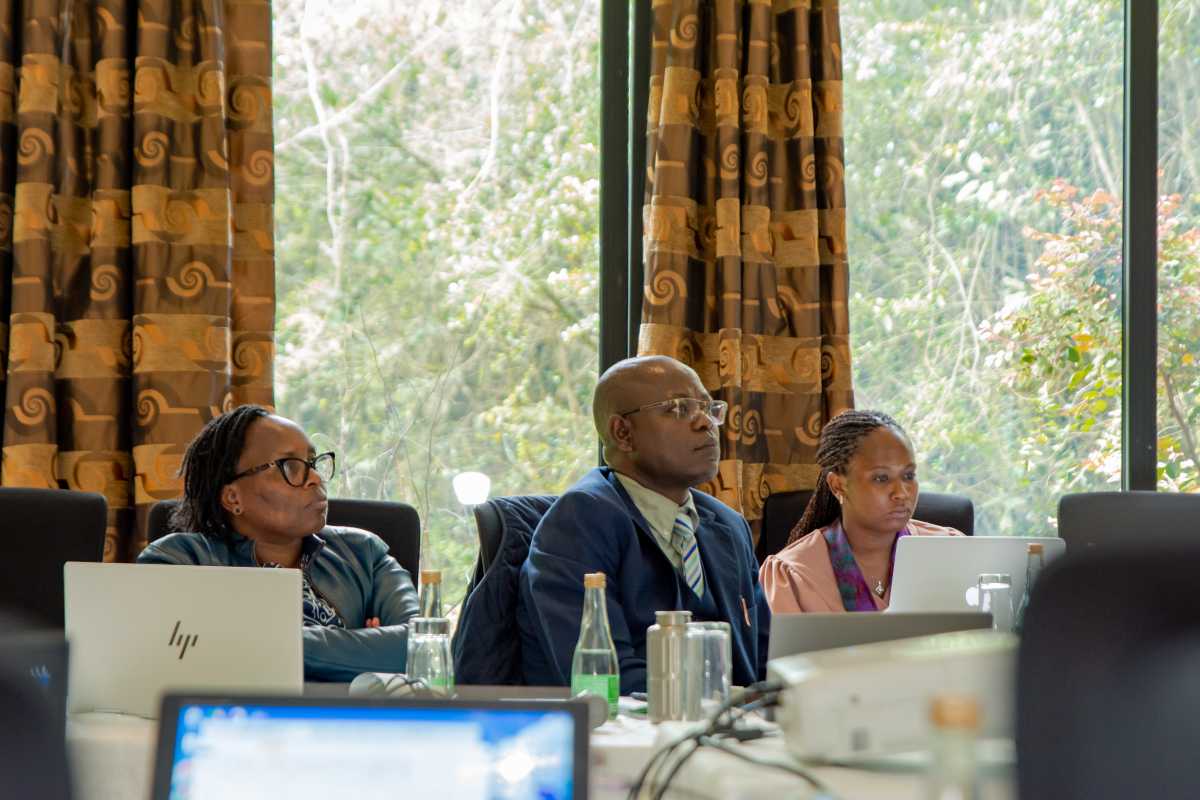 Workshop participants